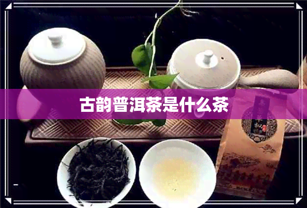 古韵普洱茶是什么茶 古韵普洱茶是什么茶