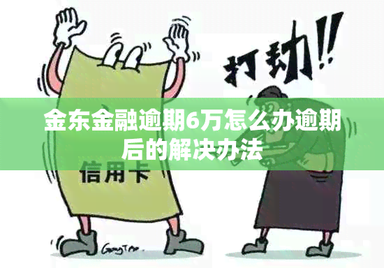 金东金融逾期6万怎么办逾期后的解决办法