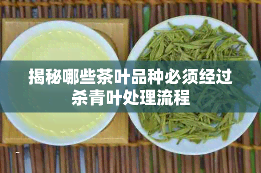 揭秘哪些茶叶品种必须经过杀青叶处理流程