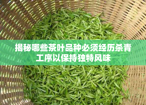 揭秘哪些茶叶品种必须经历杀青工序以保持独特风味
