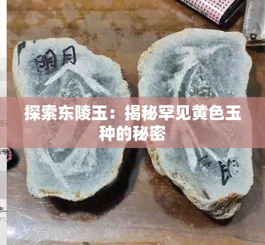 探索东陵玉:揭秘罕见黄色玉种的秘密