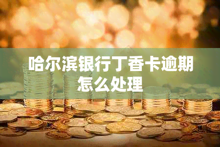 哈尔滨银行丁香卡逾期怎么处理