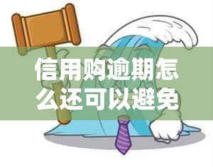 信用购逾期怎么还可以避免记录损失吗