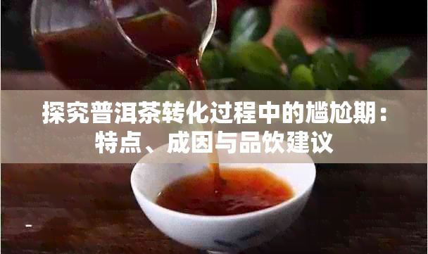 探究普洱茶转化过程中的尴尬期：特点、成因与品饮建议
