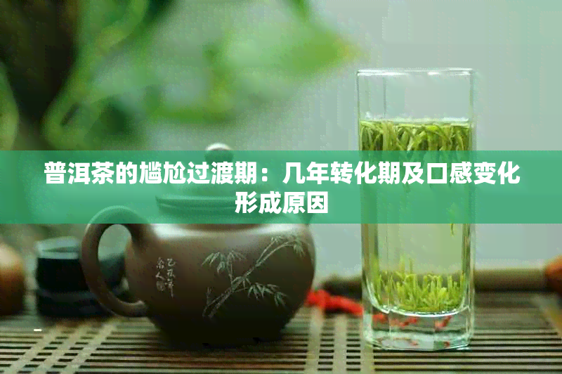 普洱茶的尴尬过渡期：几年转化期及口感变化形成原因