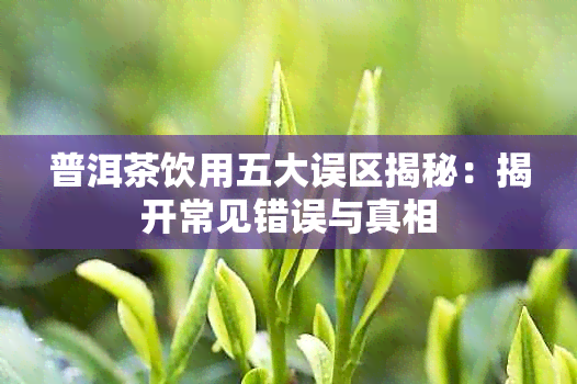 普洱茶饮用五大误区揭秘：揭开常见错误与真相