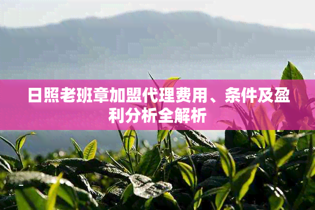 日照老班章加盟代理费用、条件及盈利分析全解析