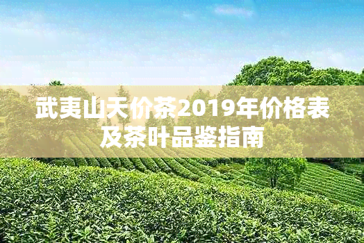 武夷山天价茶2019年价格表及茶叶品鉴指南
