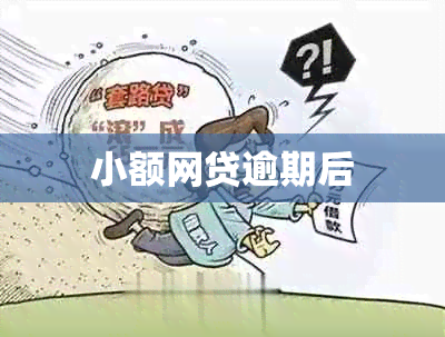 小额网贷逾期后