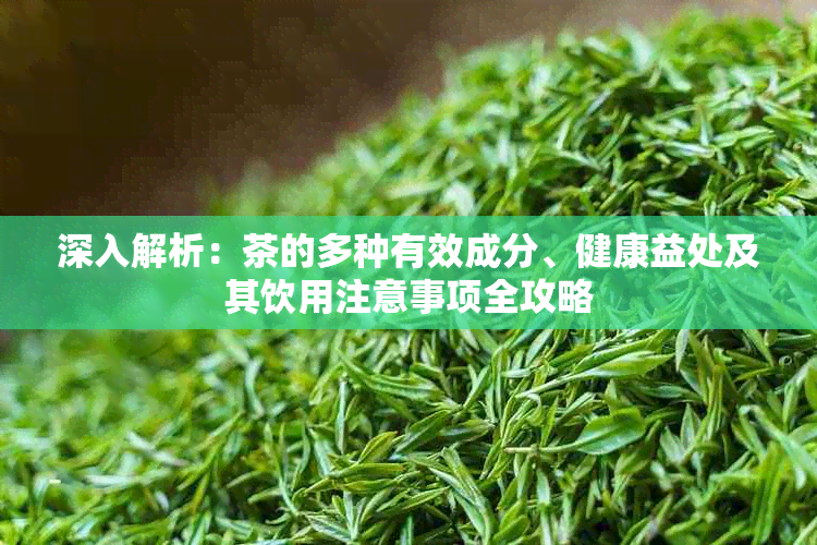深入解析：茶的多种有效成分、健康益处及其饮用注意事项全攻略