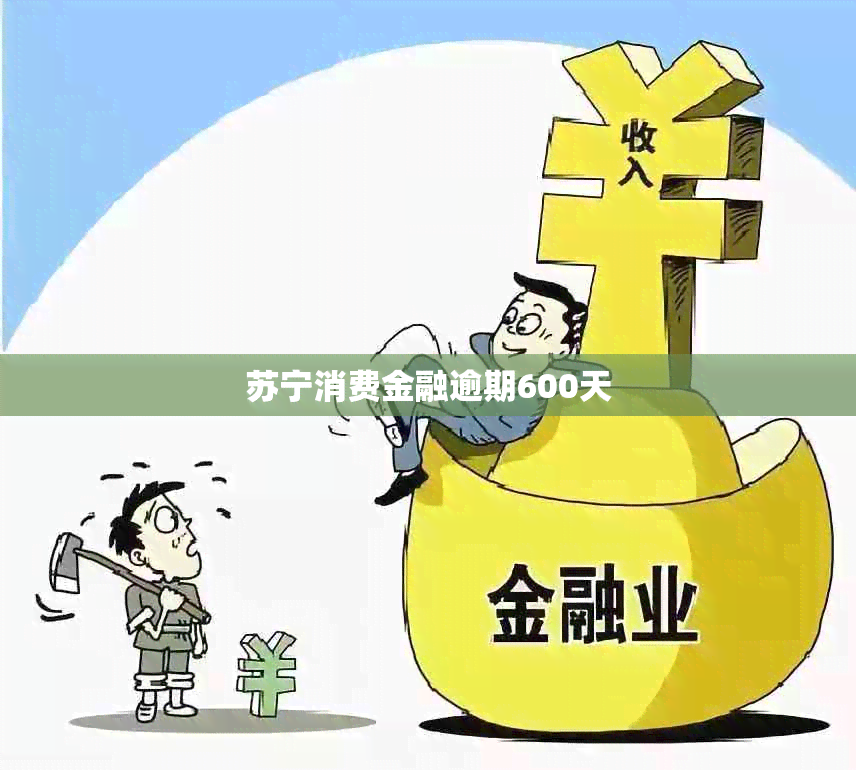 苏宁消费金融逾期600天