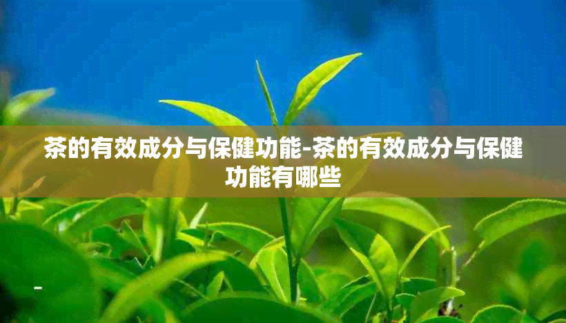 茶的有效成分与保健功能-茶的有效成分与保健功能有哪些