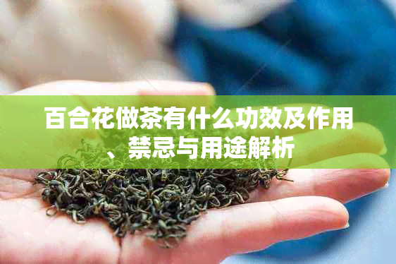 百合花做茶有什么功效及作用、禁忌与用途解析
