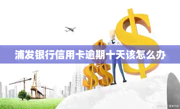 浦发银行信用卡逾期十天该怎么办