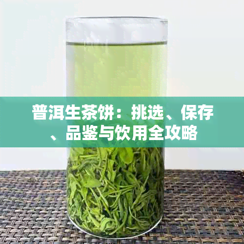普洱生茶饼:挑选、保存、品鉴与饮用全攻略