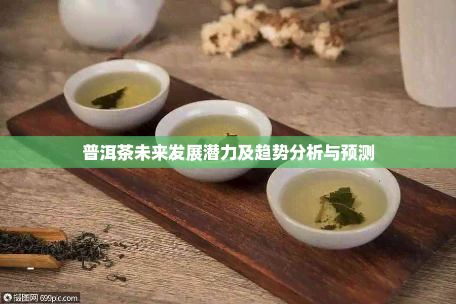 普洱茶未来发展潜力及趋势分析与预测
