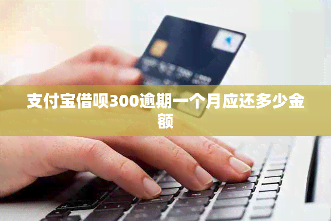 支付宝网贷300逾期一个月应还多少金额