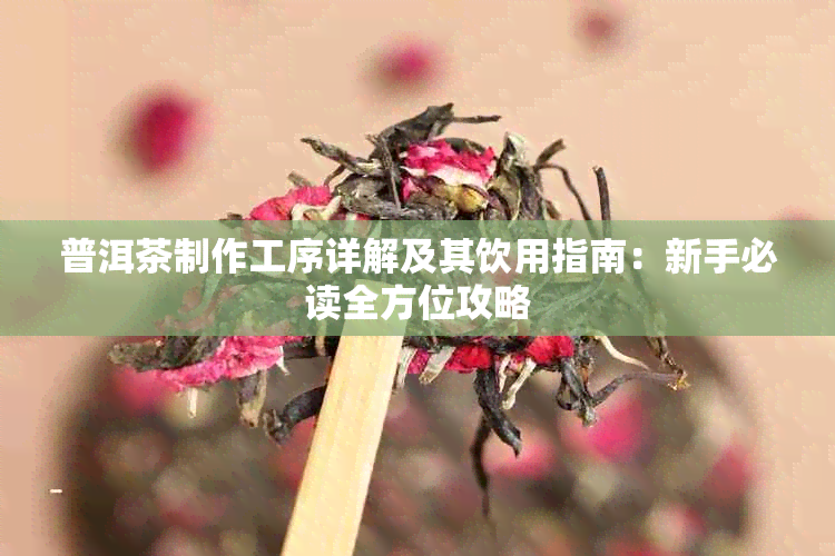 普洱茶制作工序详解及其饮用指南：新手必读全方位攻略