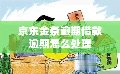 京东金条逾期借款逾期怎么处理