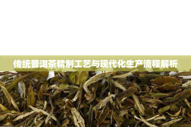 传统普洱茶精制工艺与现代化生产流程解析