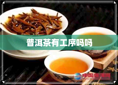 普洱茶有工序吗吗