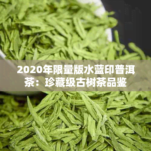 2020年限量版水蓝印普洱茶：珍藏级古树茶品鉴