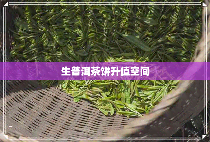 生普洱茶饼升值空间 生普洱茶饼升值空间