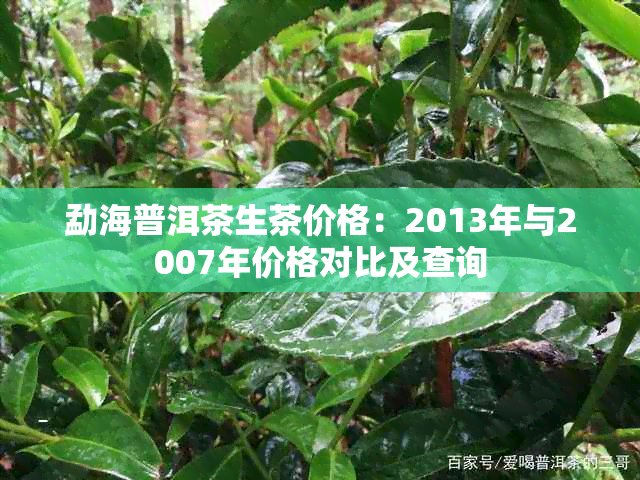 勐海普洱茶生茶价格:2013年与2007年价格对比及查询