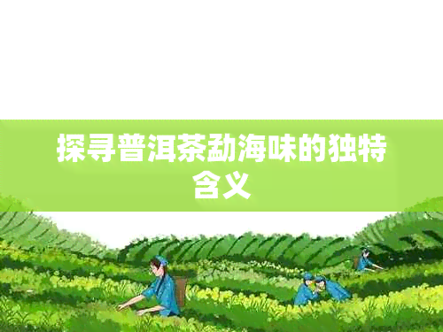 探寻普洱茶勐海味的独特含义