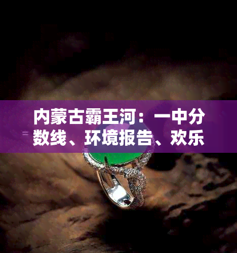 内蒙古霸王河：一中分数线、环境报告、欢乐谷及类种类概述