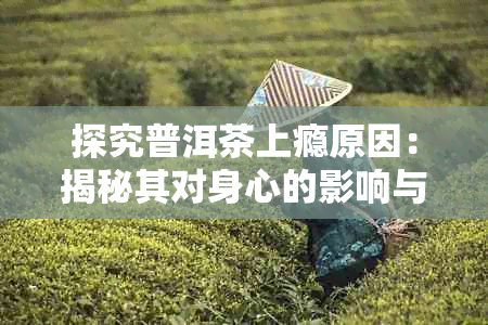 探究普洱茶上瘾原因：揭秘其对身心的影响与潜在益处