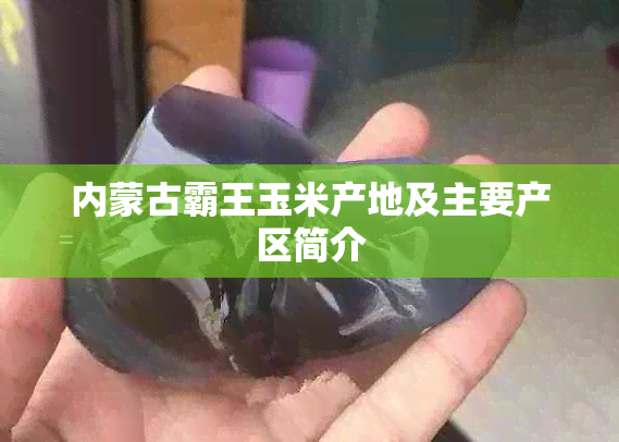 内蒙古霸王玉米产地及主要产区简介