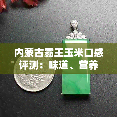 内蒙古霸王玉米口感评测：味道、营养与挑选指南全面解析