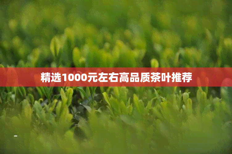 精选1000元左右高品质茶叶推荐