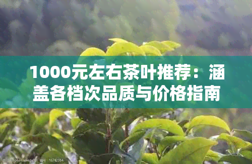 1000元左右茶叶推荐：涵盖各档次品质与价格指南