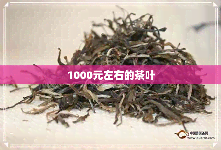 1000元左右的茶叶 1000元左右的茶叶