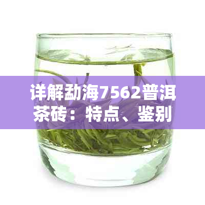详解勐海7562普洱茶砖:特点、鉴别方法与品鉴技巧