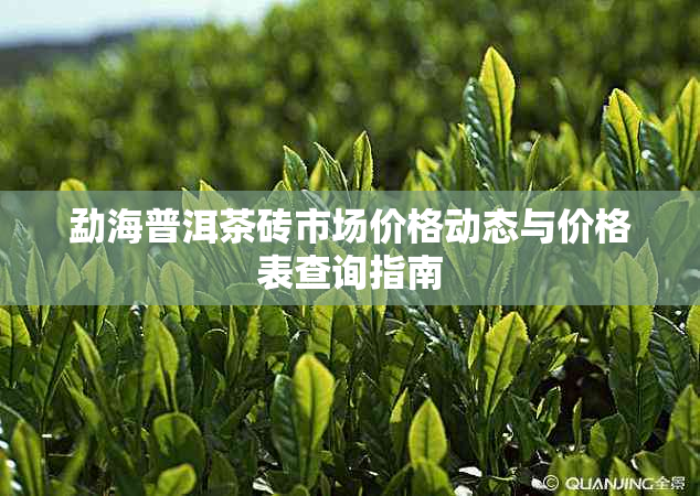 勐海普洱茶砖市场价格动态与价格表查询指南