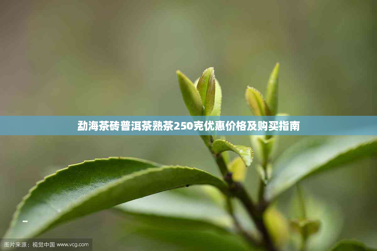 勐海茶砖普洱茶熟茶250克优惠价格及购买指南