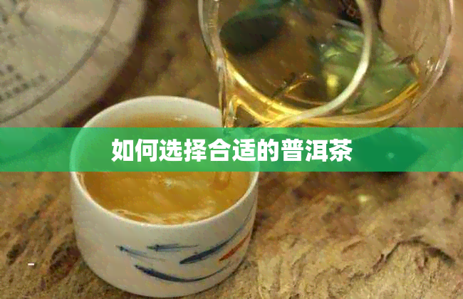 如何选择合适的普洱茶