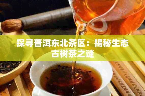 探寻普洱东北茶区：揭秘生态古树茶之谜