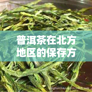 普洱茶在北方地区的保存方法与注意事项全解析