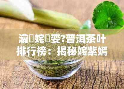 瀹佸姹熻娈?普洱茶叶排行榜:揭秘姹紫嫣红瀹茶秘术与涓滴精华