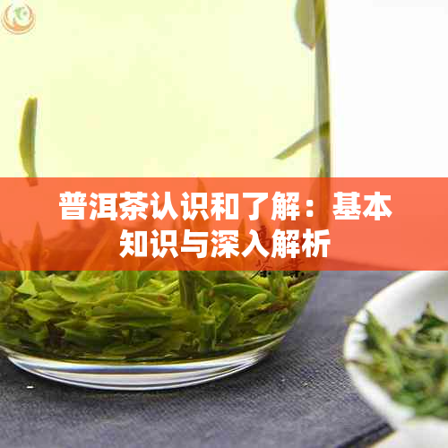 普洱茶认识和了解：基本知识与深入解析