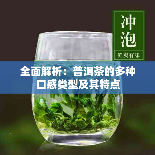 全面解析:普洱茶的多种口感类型及其特点