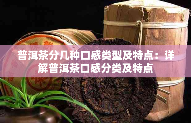普洱茶分几种口感类型及特点:详解普洱茶口感分类及特点