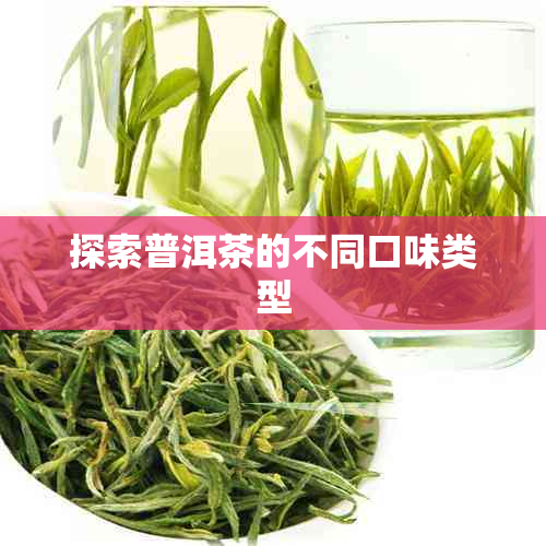 探索普洱茶的不同口味类型