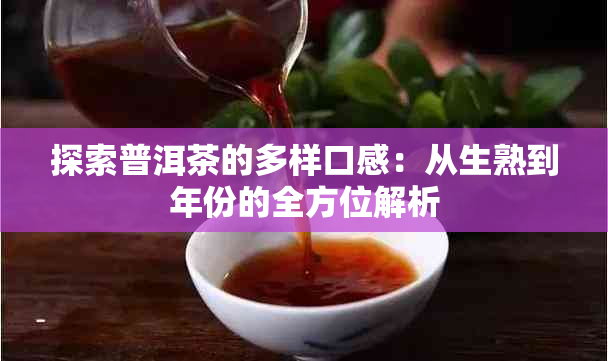 探索普洱茶的多样口感:从生熟到年份的全方位解析
