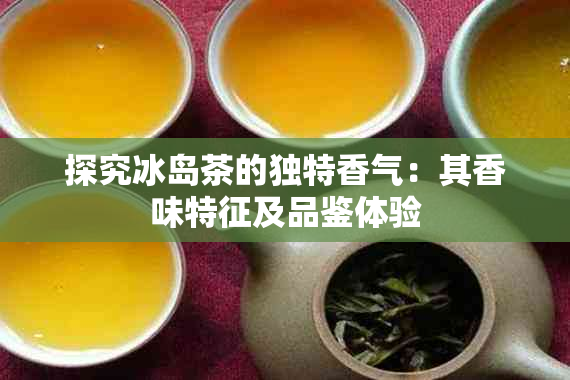 探究冰岛茶的独特香气：其香味特征及品鉴体验