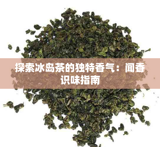 探索冰岛茶的独特香气：闻香识味指南